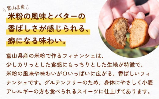 かもめの卵ふぃなん10個入り | 米粉 グルテンフリー フィナンシェ - 富山県氷見市｜ふるさとチョイス - ふるさと納税サイト