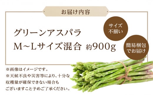 岐阜県本巣市のふるさと納税 アスパラガス 約 900g 訳あり 簡易包装 規格外 野菜 グリーンアスパラ 訳アリ 産地直送 BBQ バーベキュー もとすファーム