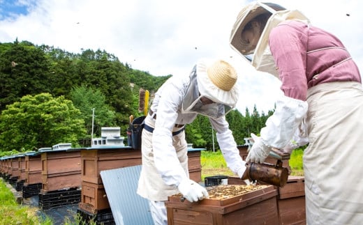 自然豊かな岩手県・西和賀町で採蜜した 100％ 天然 のはちみつです