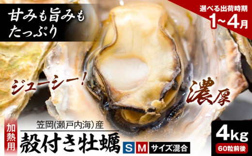 笠岡産 (瀬戸内海産) 殻付き牡蠣 (加熱用) S・Mサイズ混合 4kg 60粒前後[出荷時期が選べる]1月 2月 3月 4月 岡山県 笠岡市 かき カキ 牡蠣 生牡蠣 瀬戸内海産 殻付き