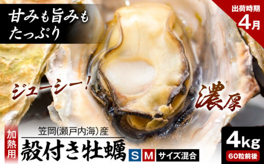 笠岡産 (瀬戸内海産) 殻付き牡蠣 (加熱用) S・Mサイズ混合 4kg 60粒前後《4月上旬-4月末頃出荷》岡山県 笠岡市 かき カキ 牡蠣 生牡蠣 瀬戸内海産 殻付き