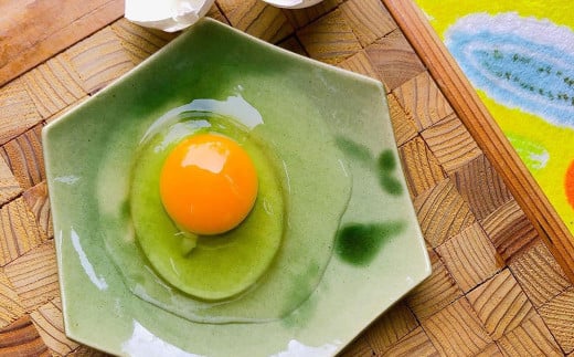 「球磨球子」「恒輝卵」各20個　計40個の食べ比べ 2種 こうきらん 卵 たまご 玉子 お取り寄せ
