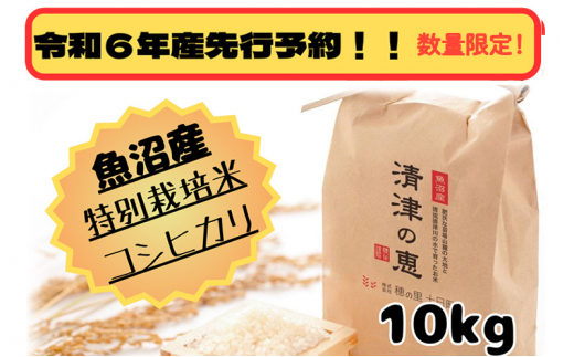 【令和6年産先行予約】魚沼産特別栽培米コシヒカリ　〈清津の恵〉　精米10kg（5kgｘ2袋）