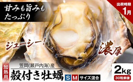 笠岡産 (瀬戸内海産) 殻付き牡蠣 (加熱用) S・Mサイズ混合 2kg 30粒前後《1月中旬-1月末頃出荷》岡山県 笠岡市 かき カキ 牡蠣 生牡蠣 瀬戸内海産 殻付き