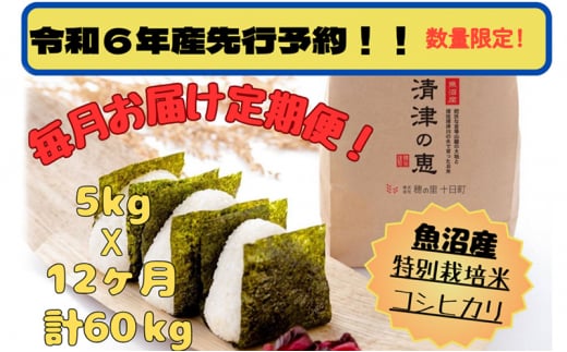 【令和6年産先行予約】魚沼産特別栽培米コシヒカリ　〈清津の恵〉　精米5kg全12回