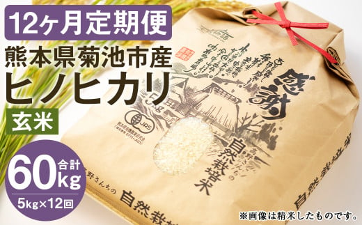 【定期便12ヶ月】七城物語 高野さんちの 自然栽培米 （玄米） 5kg （2.5kg×2パック） 合計60kg お米 米 玄米 ヒノヒカリ