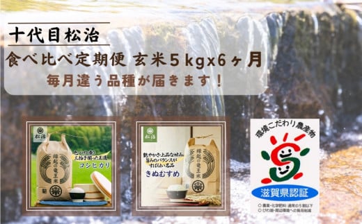  【新米予約】 定期便 コシヒカリ きぬむすめ 食べ比べ 玄米 各5kg × 6ヶ月 (令和6年産 新米 ブランド米 玄米 5kg 30kg 定期 6回 2品種 おこめ ご飯 お米 農家 ライス 環境 こだわり米 農家直送 ギフト 国産 滋賀県 竜王町 ふるさと納税 ) 1388339 - 滋賀県竜王町