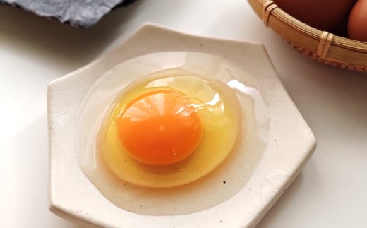 「球磨球子」「恒輝卵」各20個　計40個の食べ比べ 2種 こうきらん 卵 たまご 玉子 お取り寄せ