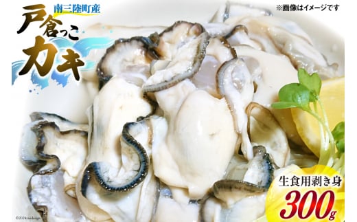 【期間限定発送】牡蠣 生食 南三陸町産 戸倉っこカキ 300g [宮城県漁業協同組合志津川支所 宮城県 南三陸町 30an0001] 生カキ 生食用 剥き身 かき カキ 生ガキ むき身 むき 690818 - 宮城県南三陸町