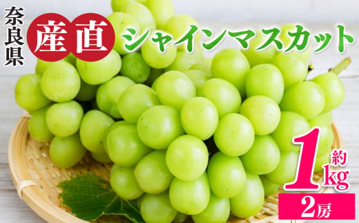 シャインマスカット 2房 （ 約1kg ）| フルーツ 果物 くだもの ぶどう 葡萄 ブドウ シャイン マスカット 奈良県 平群町