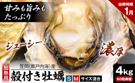 笠岡産 (瀬戸内海産) 殻付き牡蠣 (加熱用) S・Mサイズ混合 4kg 60粒前後《1月中旬-1月末頃出荷》岡山県 笠岡市 かき カキ 牡蠣 生牡蠣 瀬戸内海産 殻付き