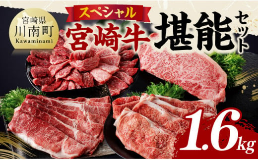 宮崎牛 堪能セット 【スペシャル】 合計1.6kg【 肉 牛肉 国産 宮崎県産 黒毛和牛 和牛 モモスライス カルビ 】