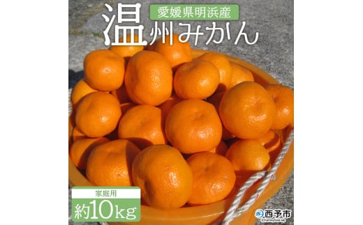 安樹屋 愛媛県明浜産 温州みかん(南柑20号) 10kg(家庭用) 284468 - 愛媛県西予市