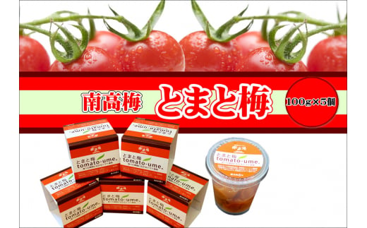 とまと梅tomato-ume １００ｇ×５個 / 梅干し 梅干 梅 【ypl004】 1371507 - 和歌山県串本町