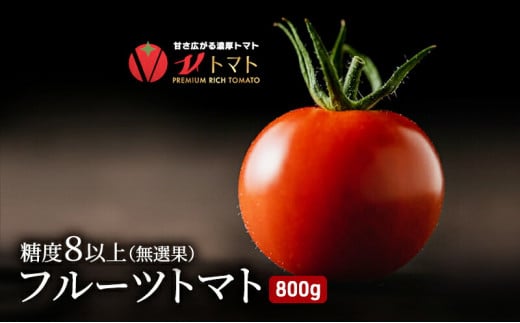 【先行予約】【数量限定】V トマト 糖度8度前後 800g【株式会社ブイ・テクノロジー】 [AKBL003] 1527127 - 神奈川県横須賀市