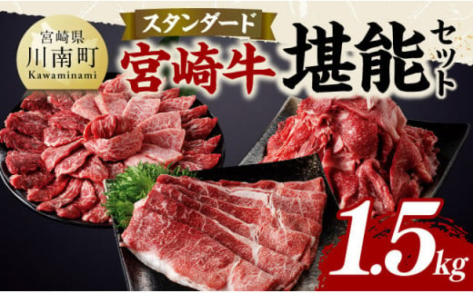 宮崎牛 堪能セット 【スタンダード】 合計1.5kg【 肉 牛肉 国産 宮崎県産 黒毛和牛 和牛 モモスライス カルビ 】