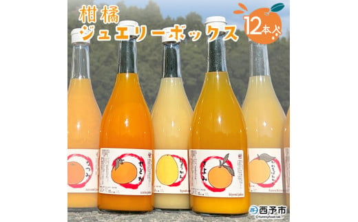 西予市産柑橘ジュエリーボックス12本入り（無添加果汁100％ジュース） 232485 - 愛媛県西予市