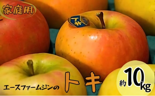 9～10月発送 家庭用トキ約10kg【弘前市産・青森りんご 果物類 林檎 リンゴ  】 893867 - 青森県弘前市