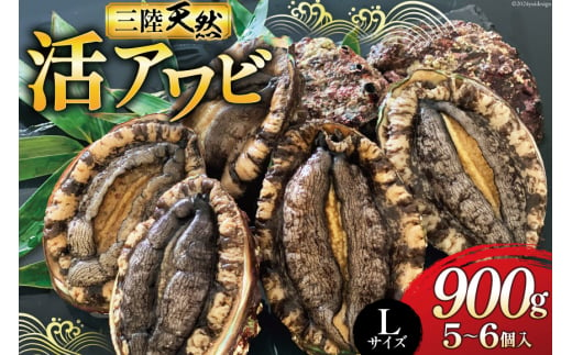 海鮮 魚介 三陸 天然 活 アワビ Lサイズ 900g(5～6個入) [マルヤ五洋水産 宮城県 南三陸町 30al0009] 魚介類 あわび 鮑 天然 蝦夷あわび 貝 冷蔵 刺身 刺し身 活き ステーキ 691287 - 宮城県南三陸町