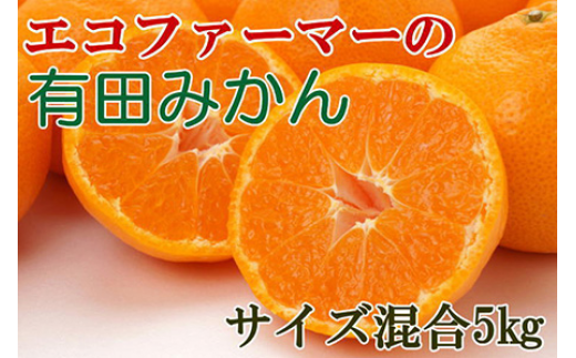 エコファーマーのこだわり有田みかん約5kg(サイズ混合)★2025年11月中旬~2026年1月中旬頃順次発送 【tec961A】 2207866 - 和歌山県新宮市