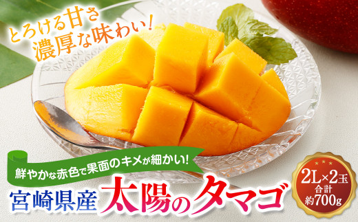 ＜宮崎県産太陽のタマゴ 2L×2玉(合計約700g)＞