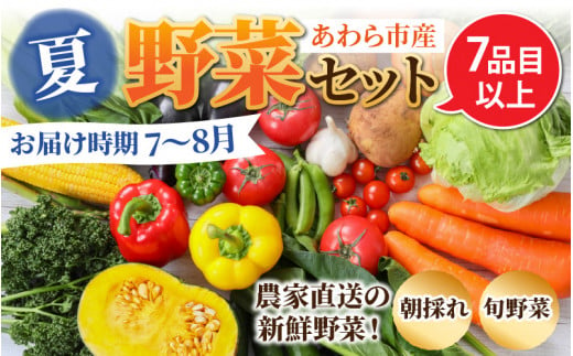 【先行予約】農家直送 夏野菜セット 1箱 