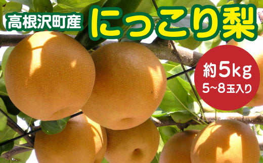 高根沢町産にっこり梨（約5kg・5～8玉入