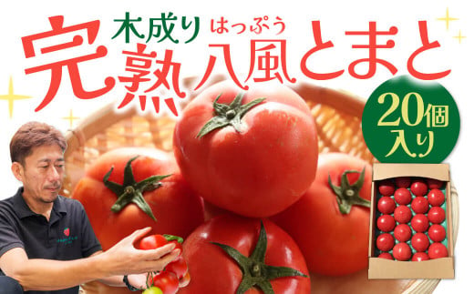 トマトは20個で合計約4㎏となります。