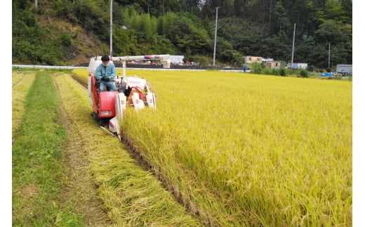 宮城県南三陸町のふるさと納税 米 令和5年産 南三陸町産 ひとめぼれ めぐりん米 ( 白米 ) 5kg [南三陸さんさんマルシェ 宮城県 南三陸町 30ai0007] お米 ご飯 ごはん コメ こめ 家庭用