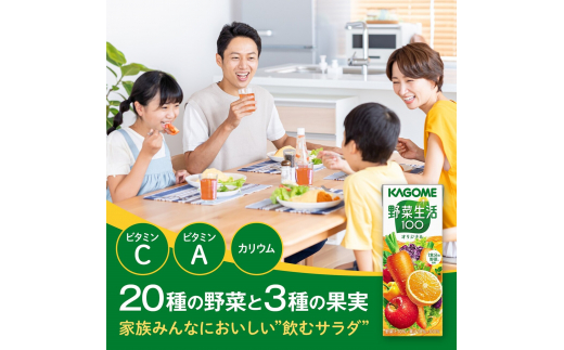 長野県富士見町のふるさと納税 【定期便 8ヶ月】 カゴメ野菜生活100オリジナル 48本×8回