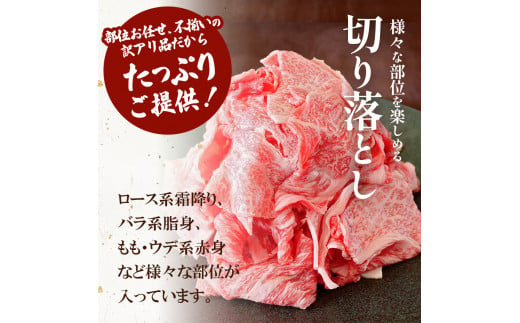 岐阜県東白川村のふるさと納税 飛騨牛 切り落とし 250g A5等級 A4等級 肉のひぐち 5000円