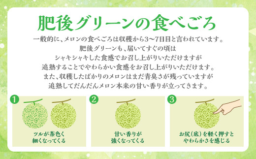 【肥後グリーンの食べごろ】一般的に、メロンの食べごろは収穫から3～7日目と言われています。