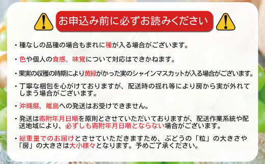 長野県須坂市のふるさと納税 ［No.5647-3674］信州須坂産 高級シャインマスカット 約1kg (約2～3房) 《須坂荒井果樹園》■2024年発送■※9月中旬頃～11月中旬頃まで順次発送予定