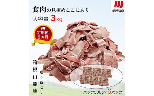 【定期便９ヵ月】箱根山麓豚　モモ・ウデ切り落とし３K盛り(500ｇ×６パック)【 箱根山麓豚 切り落とし 神奈川県 小田原市 】