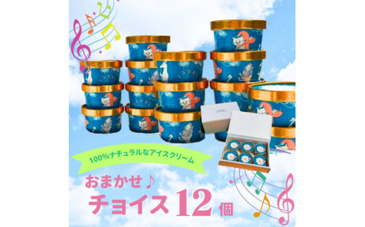 【TABBY ICE CREAM】おまかせチョイス♪アイスクリーム12個セット  1371765 - 徳島県鳴門市