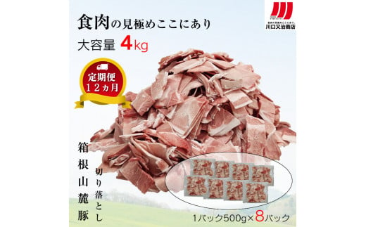 【定期便12ヵ月】箱根山麓豚　モモ・ウデ切り落とし４K盛り(500ｇ×８パック)【 箱根山麓豚 切り落とし 神奈川県 小田原市 】