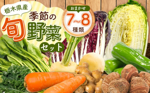 季節の旬野菜おまかせセット 7〜8品目 | 農薬不使用 化学肥料不使用 珍しい 栃木県 特産品