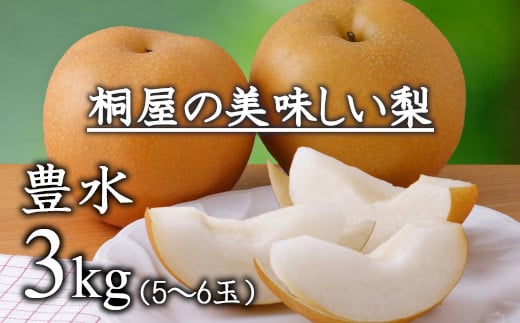 梨作り50余年！桐屋（やぎさわ梨園）の美味しい梨（豊水）3kg（糖度保証）　【11246-0278】