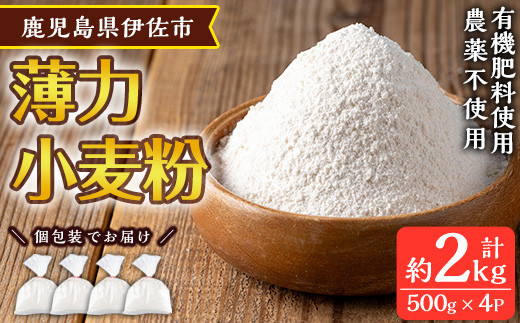 isa480《毎月数量限定》あんしん小麦粉・薄力粉(約500g×4袋・計約2kg）小麦粉 小麦 薄力粉 薄力小麦粉 鹿児島県 伊佐市 お菓子作り 料理 有機肥料 農薬不使用【しげふみファーム】 1049505 - 鹿児島県伊佐市