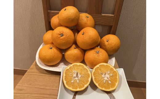 佐賀の柑橘 5月 甘夏みかん