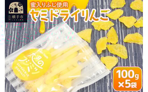 セミドライりんご「太陽のフジミツ」100g×5袋 1022896 - 秋田県横手市