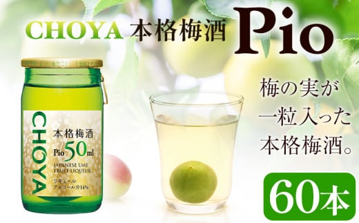 本格梅酒 Pio 飲みきりサイズ 50ml 60本 羽曳野商工振興株式会社《30日以内に出荷予定(土日祝除く)》大阪府 羽曳野市 梅酒 梅 酒 CHOYA チョーヤ チョーヤ梅酒 お酒 pio 1263117 - 大阪府羽曳野市