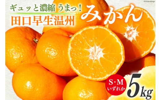 みかん 5kg【期間限定発送】ギュッと濃縮 うまっ！ 田口早生温州みかん S・Mいずれか [黒田農園 宮崎県 日向市 452060138] 果物 フルーツ ミカン 蜜柑 柑橘