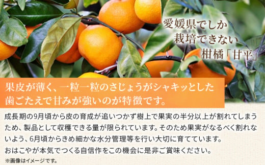 愛媛県西予市のふるさと納税 ＜おはこやがつくる 甘平 約3kg（L～3Lサイズ）＞ 果物 フルーツ 柑橘 カンペイ みかん ミカン 蜜柑 特産品 西宇和 愛媛県 西予市 【常温】