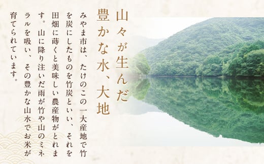 福岡県みやま市のふるさと納税 A245 銀座料亭ご愛用の白米 7kg 福岡県産