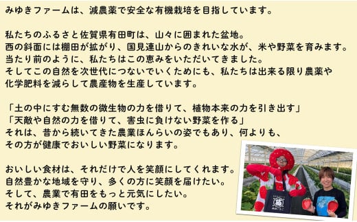 佐賀県有田町のふるさと納税 【2024年9月末～ 新米を発送！】みゆきファーム 有田 棚田米 10kg 精米したてを生産農家から直送！食味ランキング最高ランクの特A品種（さがびより/夢しずく） K14-10