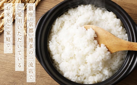 福岡県産 白米 20kg（10kg×2袋）銀座の料亭ご愛用のお米