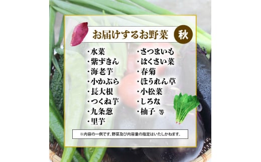 10月～11月末発送】京都府産おまかせ野菜セット ( 秋 ) ふるさと納税 京野菜 京都府産 旬野菜セット 泉食料品店 お取り寄せ 新鮮野菜 BBQ  野菜スープ 野菜ジュース - 京都府｜ふるさとチョイス - ふるさと納税サイト