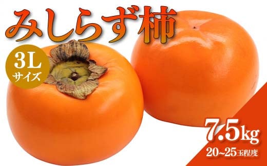 【先行予約】みしらず柿 (3Lサイズ) 7.5kg詰め F4D-0209 1366905 - 福島県西会津町