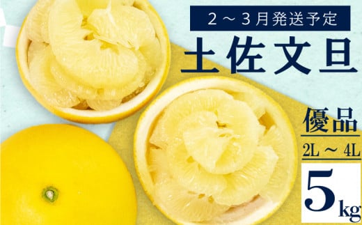 【2月上旬から発送】 文旦 高知 5kg 優品 2L ～ 4L 浦ノ内特産 早期予約 予約受付中 期間限定 季節限定 限定 旬 みかん ミカン ぶんたん 高知県 土佐文旦 柑橘 贈答 お土産 KN025 1392879 - 高知県須崎市